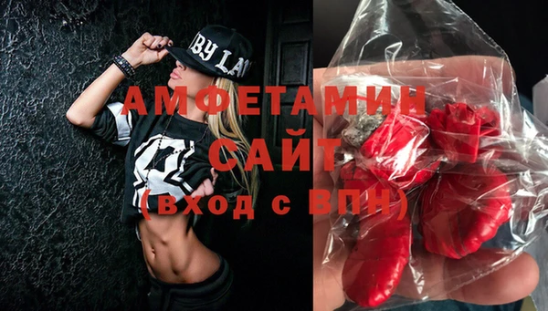 гидра Богданович