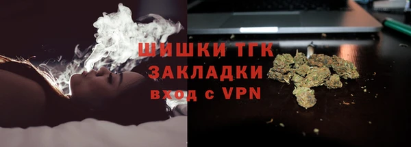 гидра Богданович