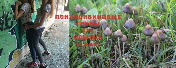 наркотики Беломорск