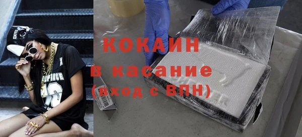 гидра Богданович